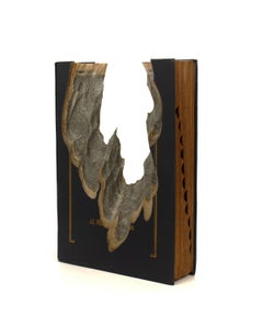 Reading Our Remains : Webster’s Seventh