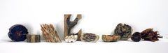 Reading Our Remains : Spine in wax