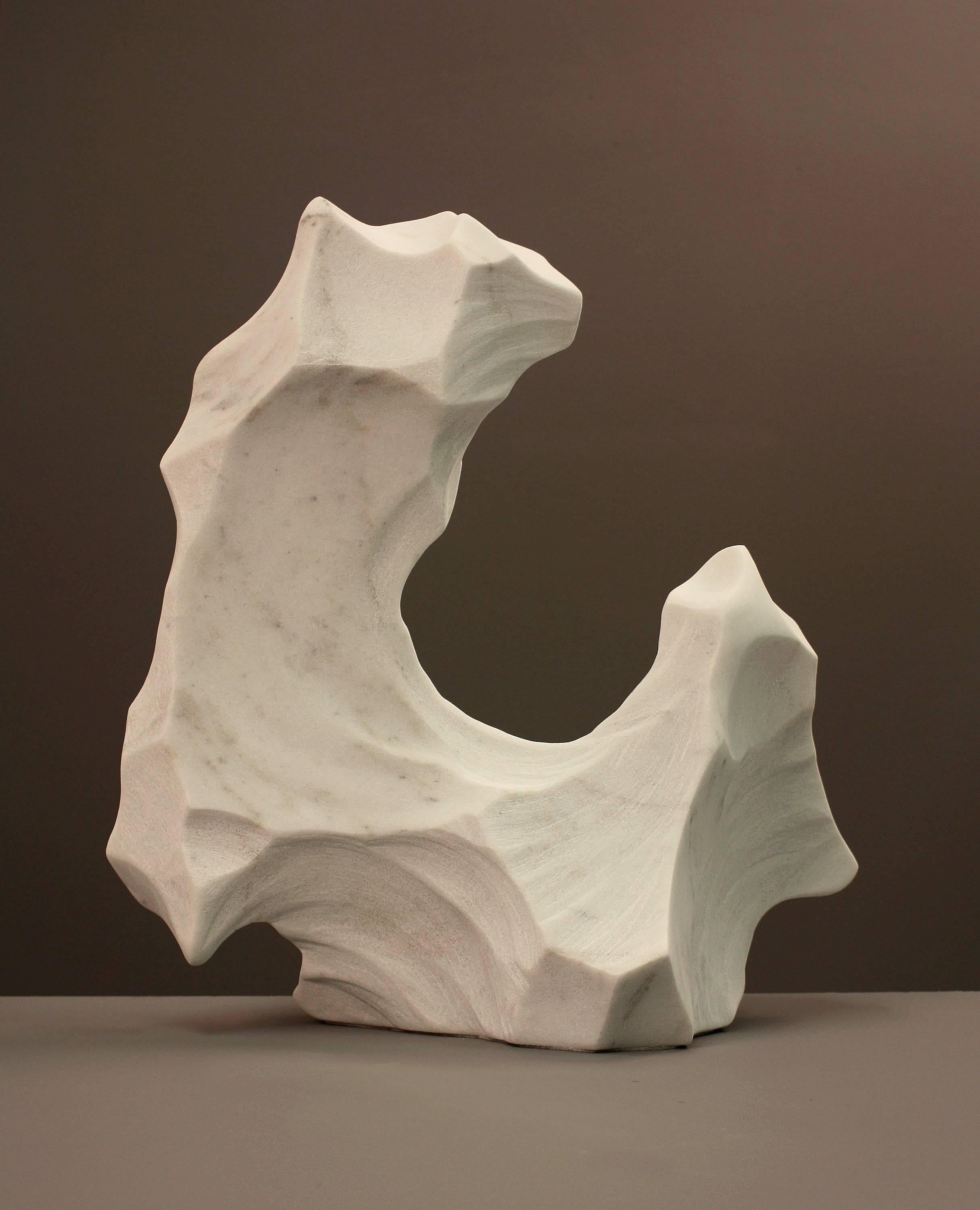 Immutable Ice 5 - Sculpture by Jessica Drenk