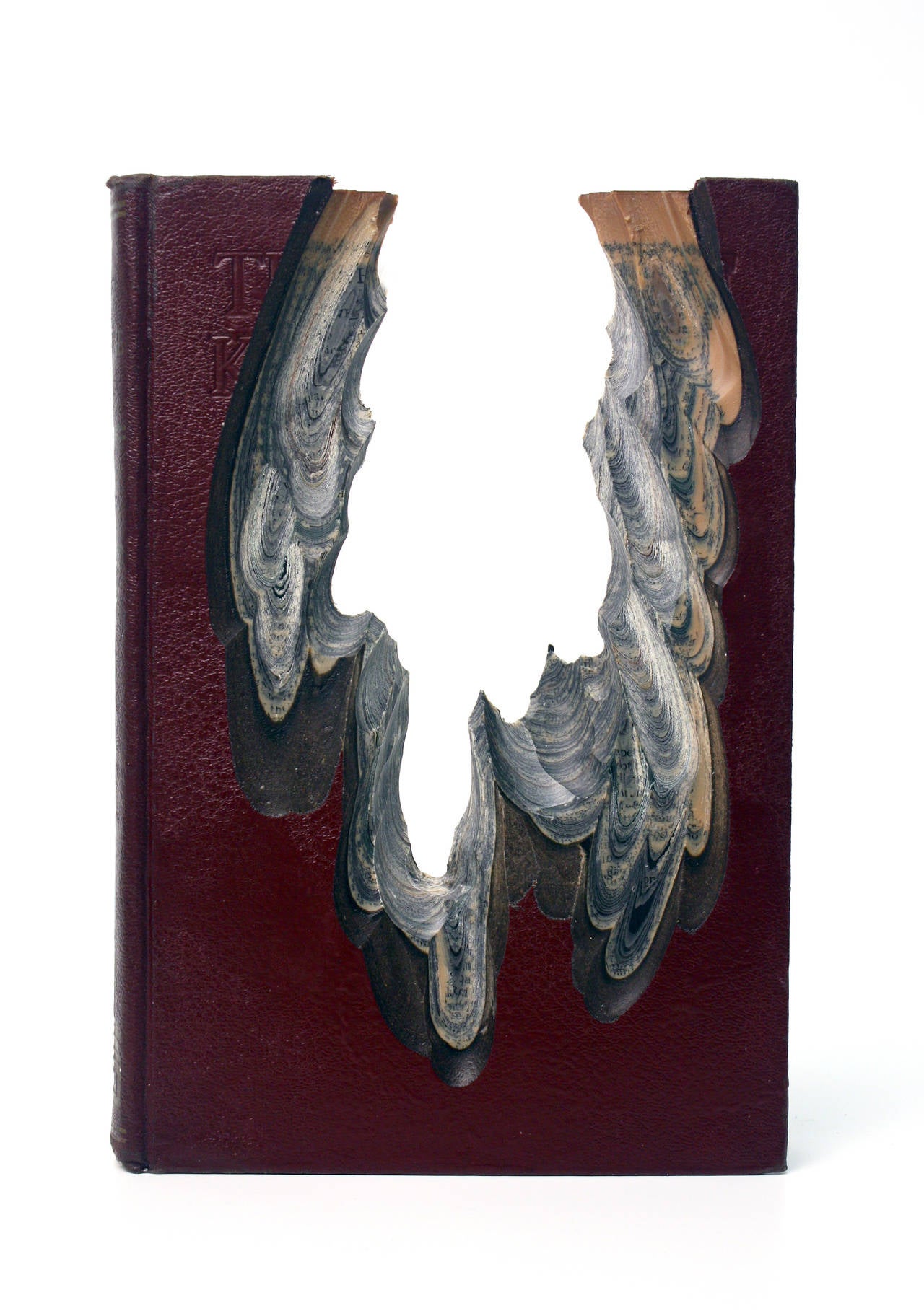 Jessica Drenk Abstract Sculpture - Carving: Book of Knowledge 4