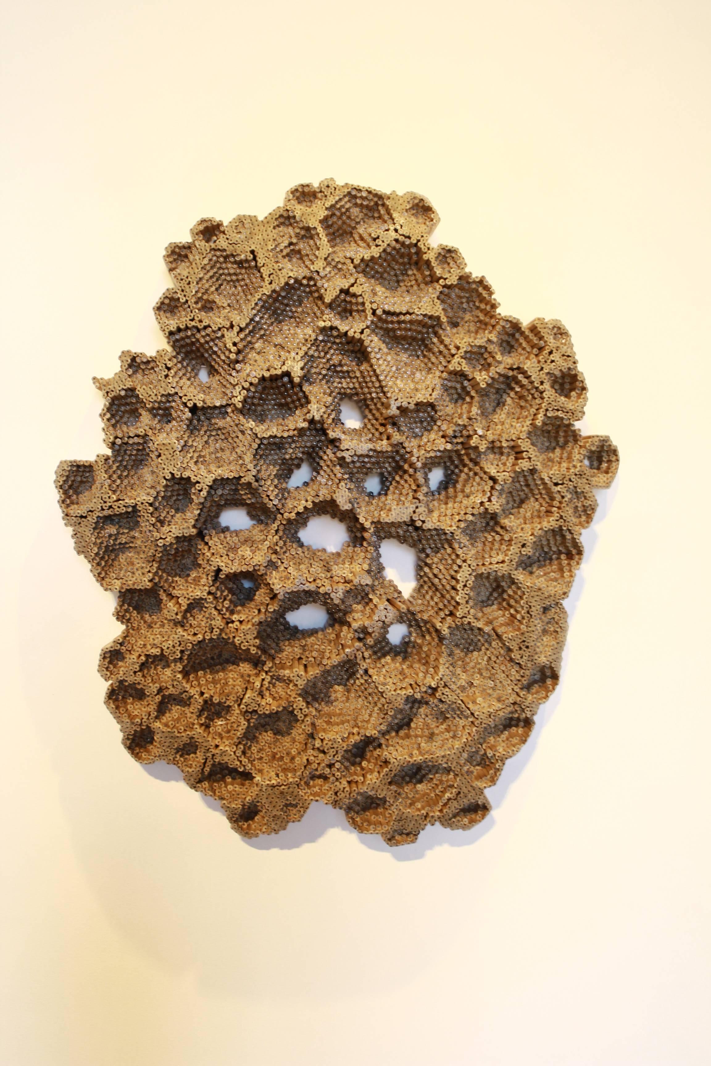 Colony
Pencils
35” H x 30” W
$10,000
Jessica Drenk is an American artist raised in Montana, where she developed an appreciation for the natural world that remains an important inspiration to her artwork today.  Tactile and textural, her sculptures