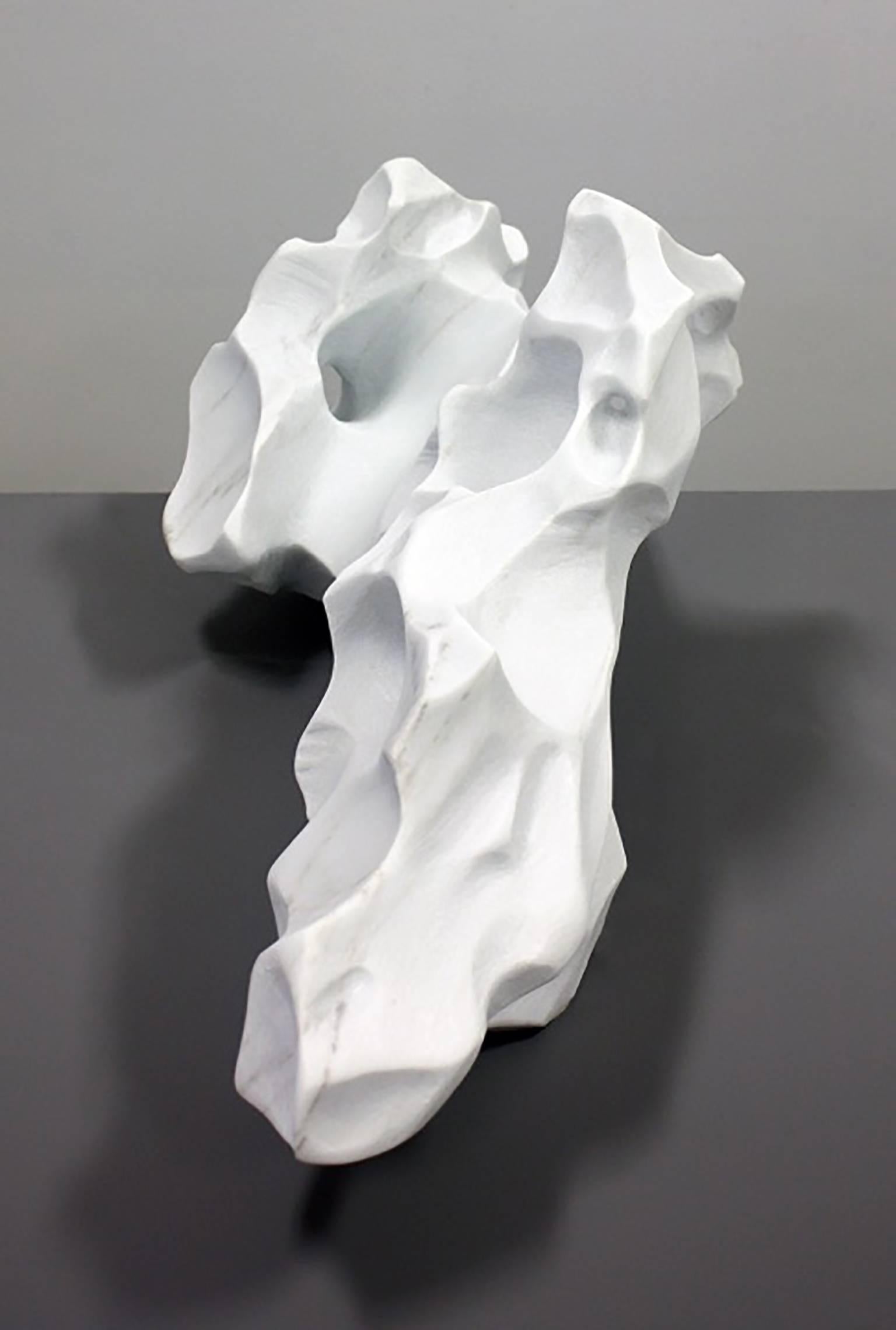 Immutable Ice 6 - Gray Still-Life Sculpture by Jessica Drenk