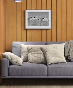 Limited Edition Black and White Photographic Art Print "Naturally Curious"