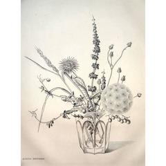 Rare Engraving - Kiyoshi Hasegawa - Autumn Flowers 9