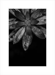 Anna Agoston - Untitled #108 9