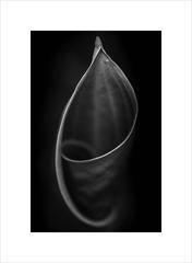 Anna Agoston - Untitled #133 2