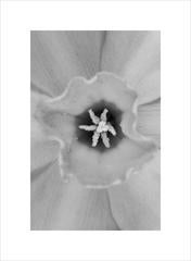 Anna Agoston - Untitled #13 5