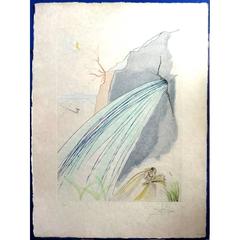 Salvador Dali - The Source - Original Handsigned etching 10