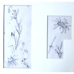 Tsuhugaru Foujita - "Flowers sketches" - Original Drawings 5