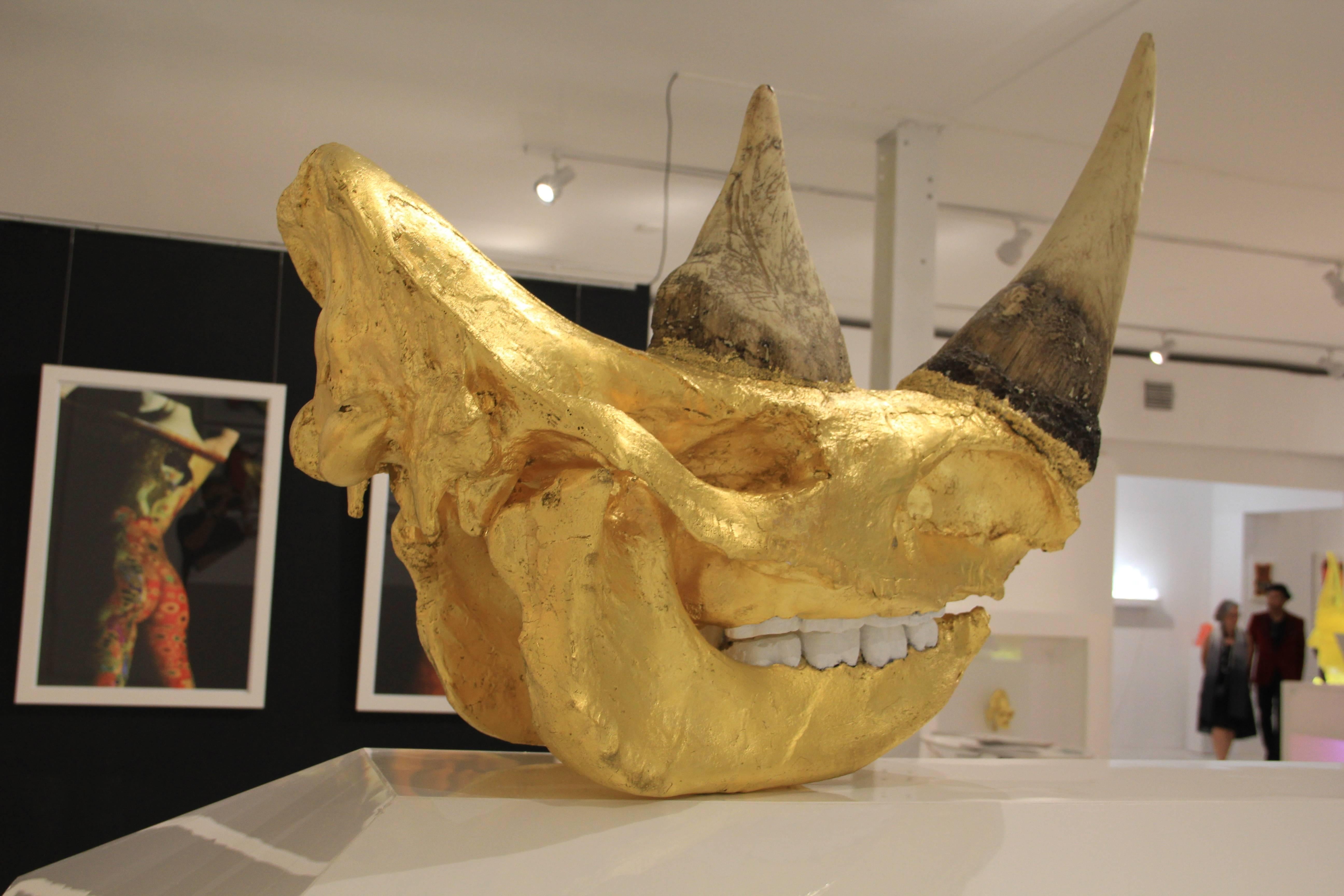 Sculpture de crâne rhinocéros du Sudan de William Rosewood en vente 1