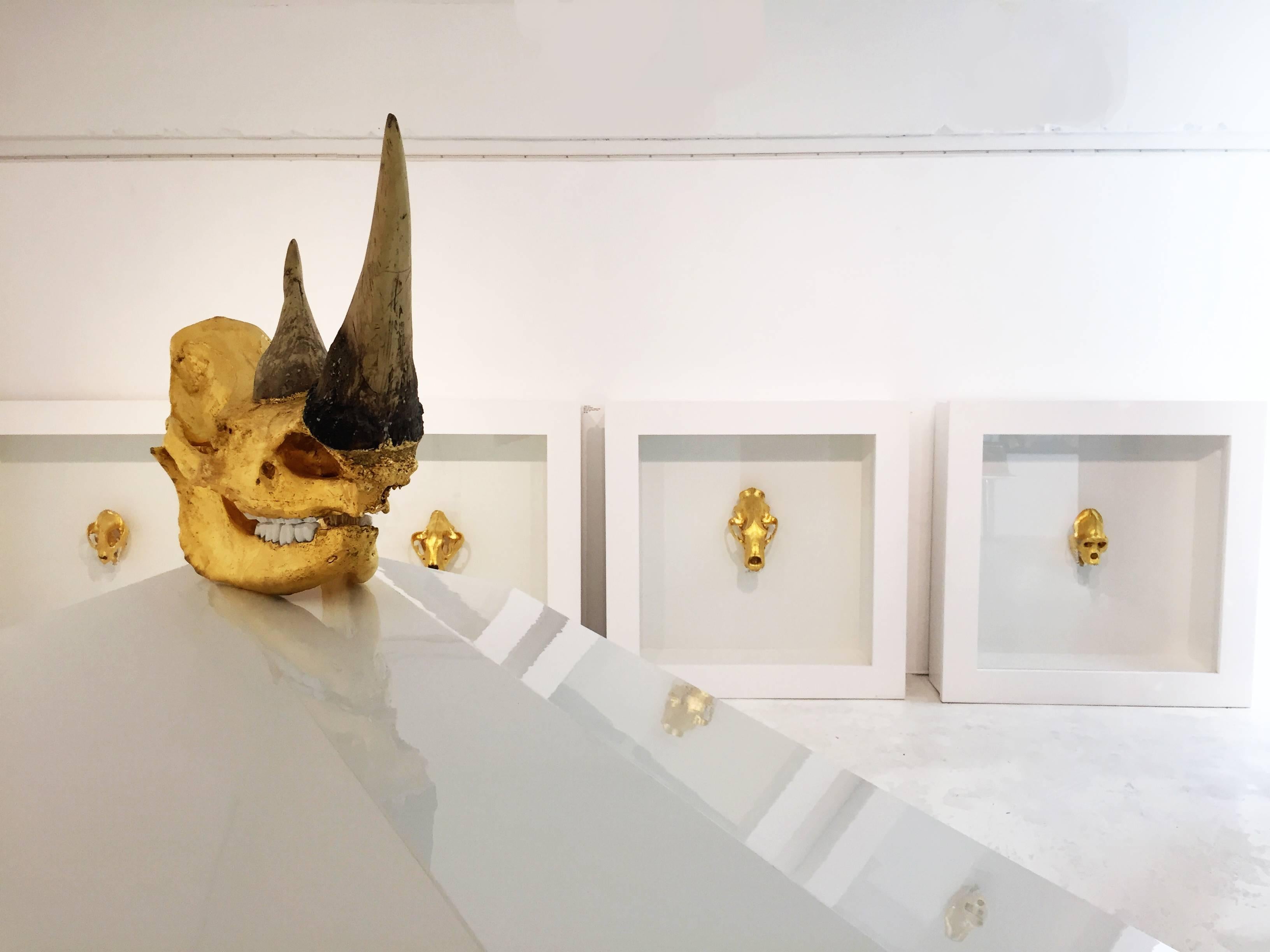 William Rosewood - Sudan 
Rhinoceros Skull Sculpture
Reproduction Skull of a White Rhino
24 K Gold Leaf
Edition: I/I
Dimensions Skull: 79 x 38 x 76 cm 
Dimensions of the Wooden Coffin: 226.1 × 121.9 × 200.7 cm
2015

“Sudan” (Name of the