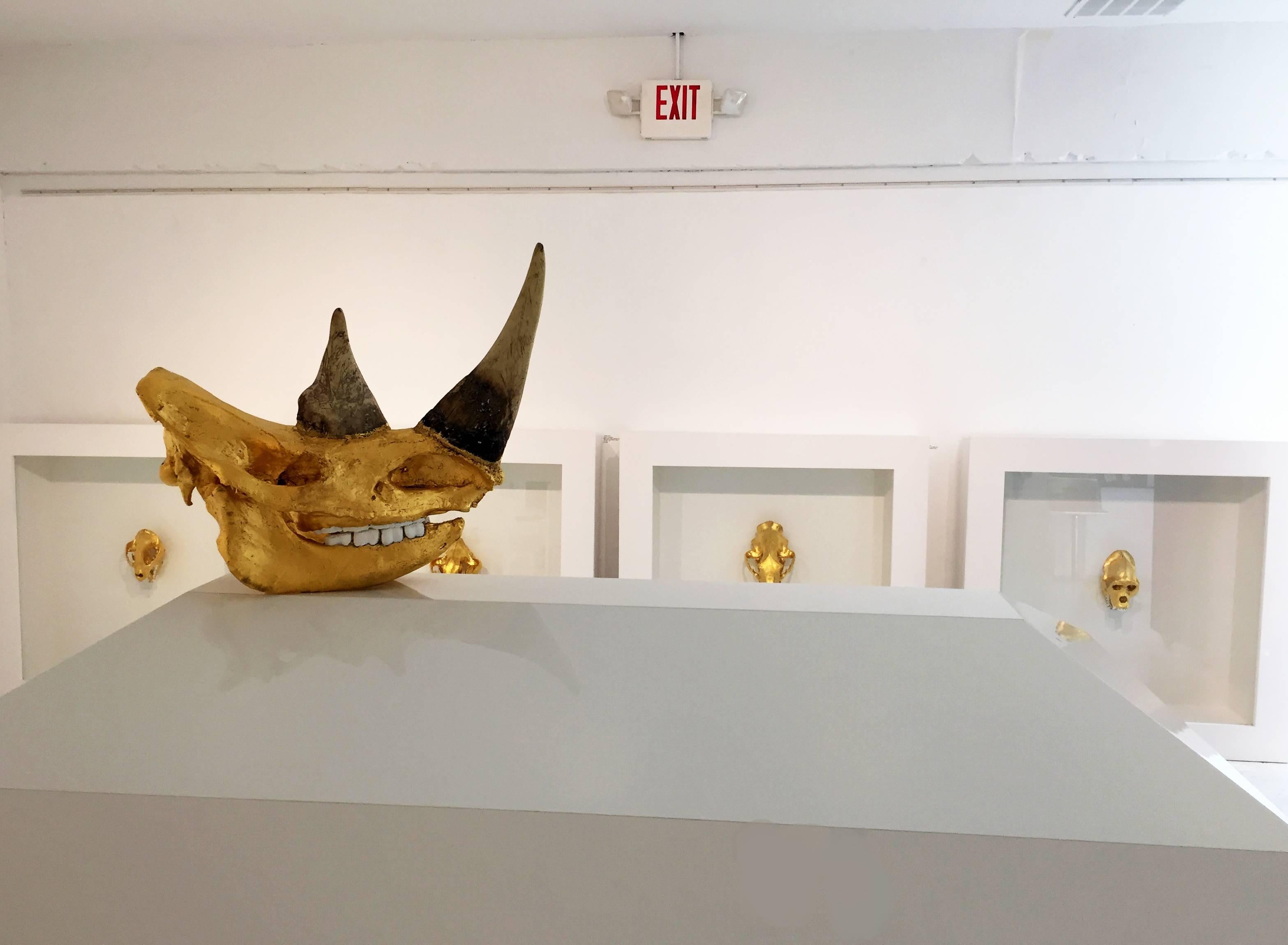 Sculpture de crâne rhinocéros du Sudan de William Rosewood en vente 5