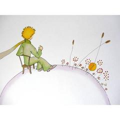 After Antoine de saint Exupery - Little Prince - The Sunset