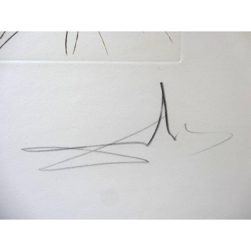 Original Handsigned etching by Salvador Dali
Title: The Lost Paradise
Signed in pencil
Dimensions: 56 x 44,5 cm
Edition: 225
1974
References : Field 74-11 G / Michler & Lopsinger 713 E

Salvador Dali

Salvador Dali was born as the son of a