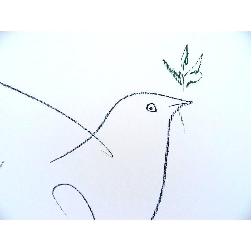 After Pablo Picasso  - Lithograph - The Peace Dove 2