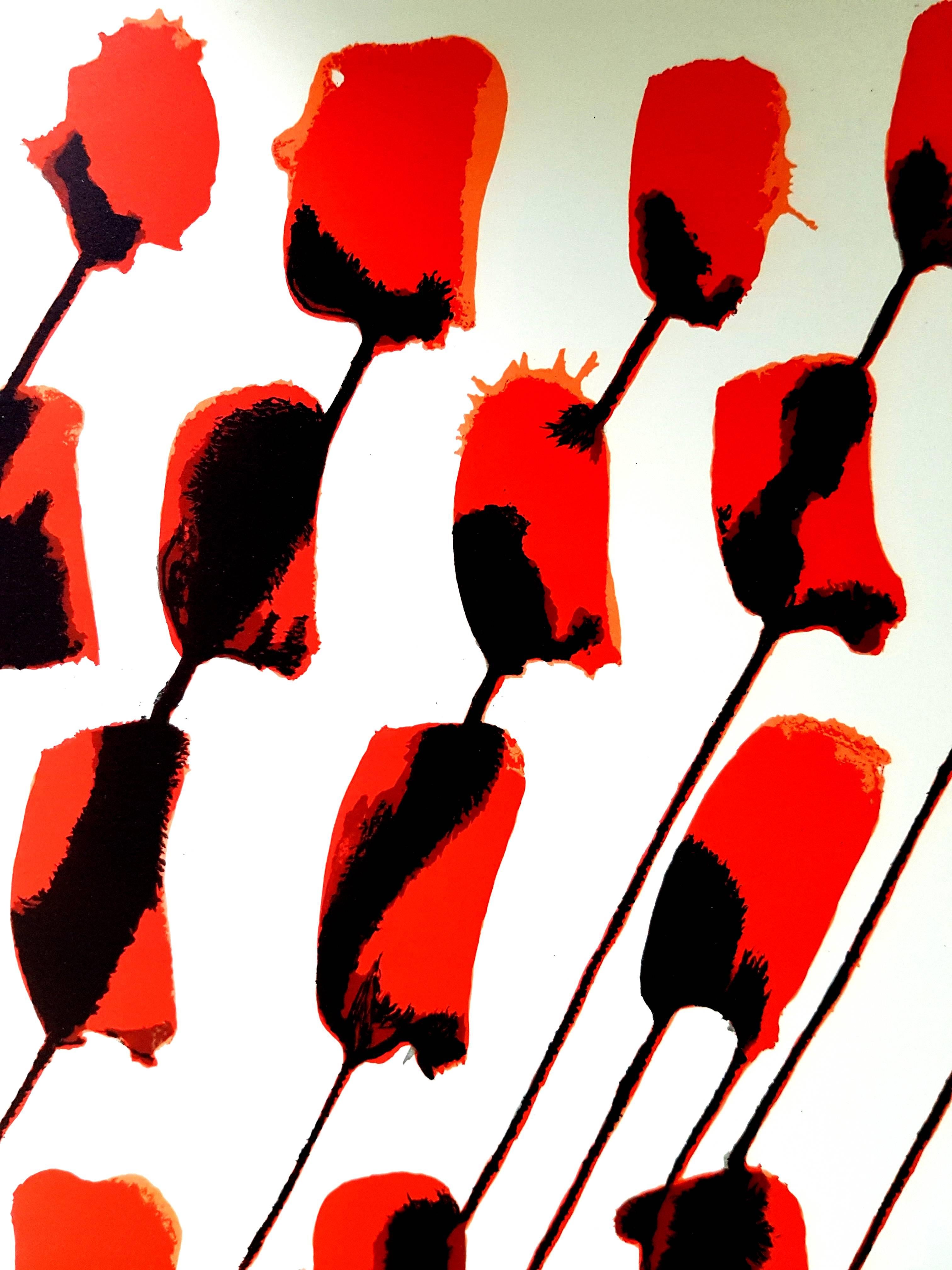 Alexander Calder - Original Lithograph - Behind the Mirror For Sale 1
