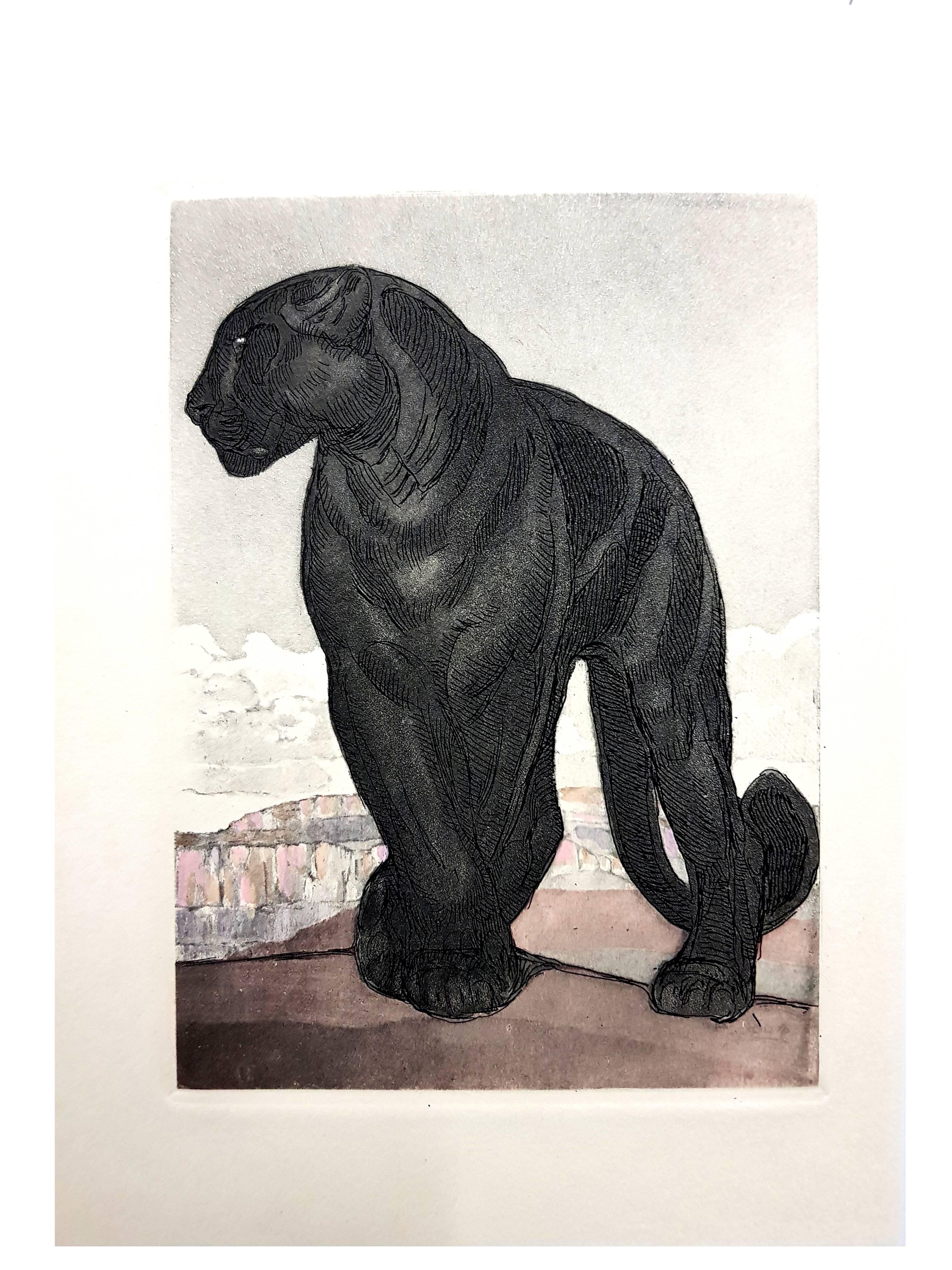 Paul Jouve - Black Leopard - Original Engraving - Modern Print by Pierre-Paul Jouve