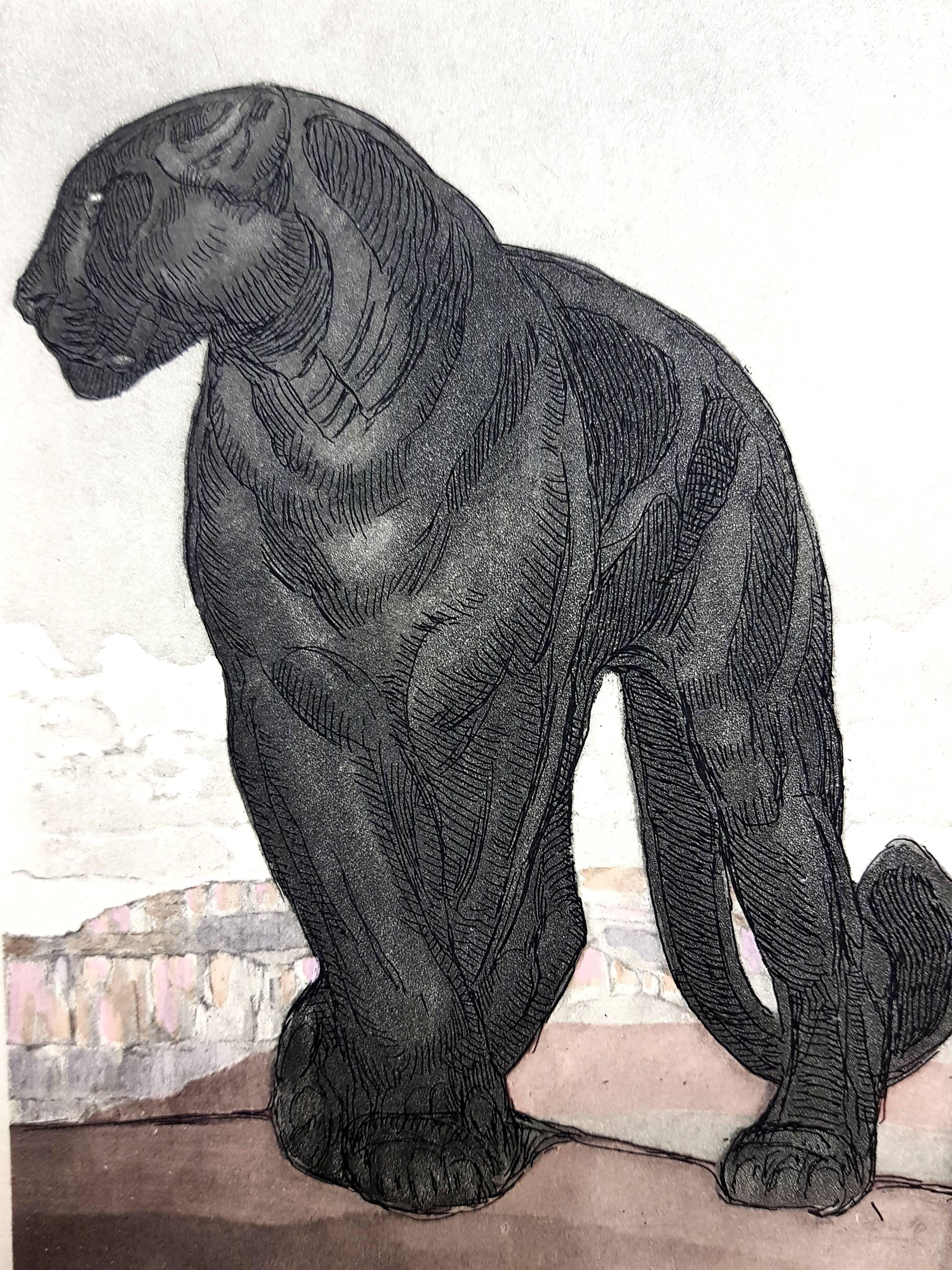 Paul Jouve - Black Leopard - Original Engraving - Print by Pierre-Paul Jouve
