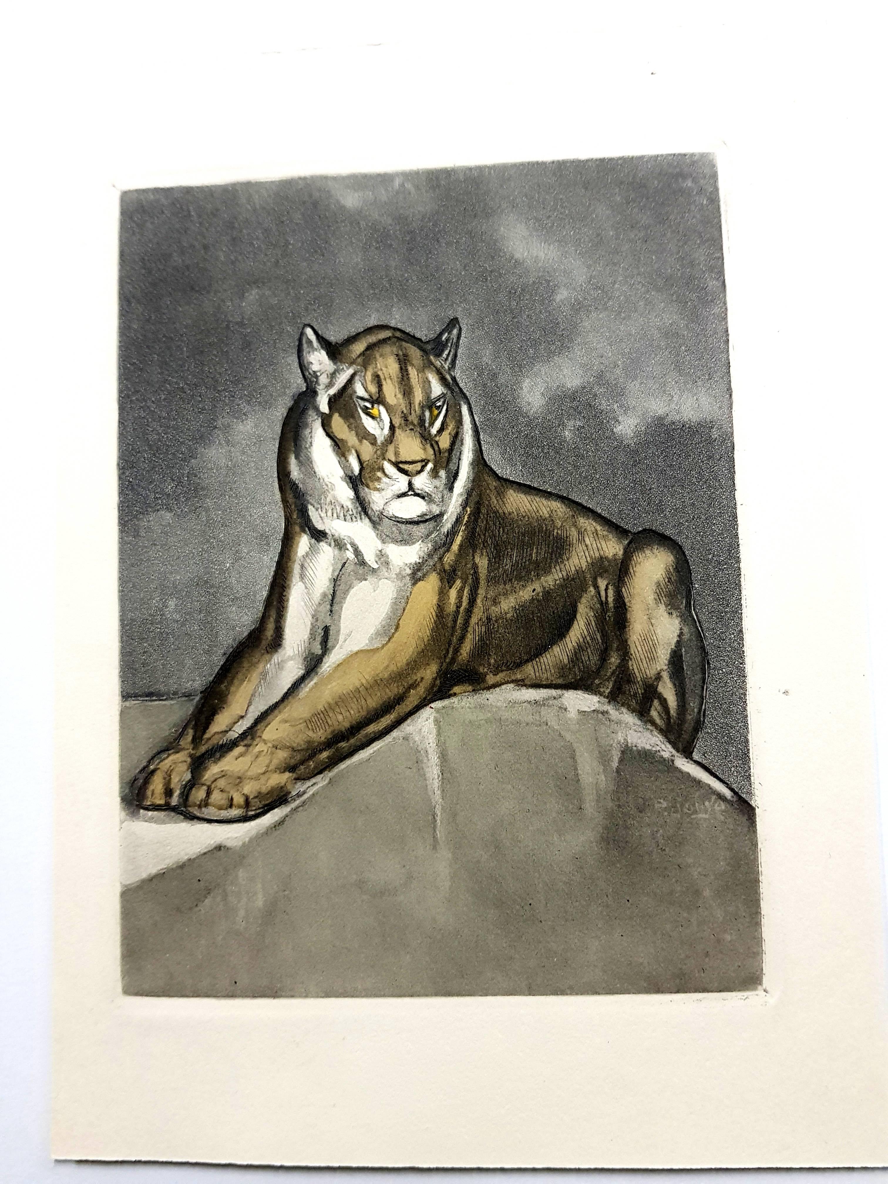 Paul Jouve (after) - Tiger - Original Engraving - Modern Print by Pierre-Paul Jouve