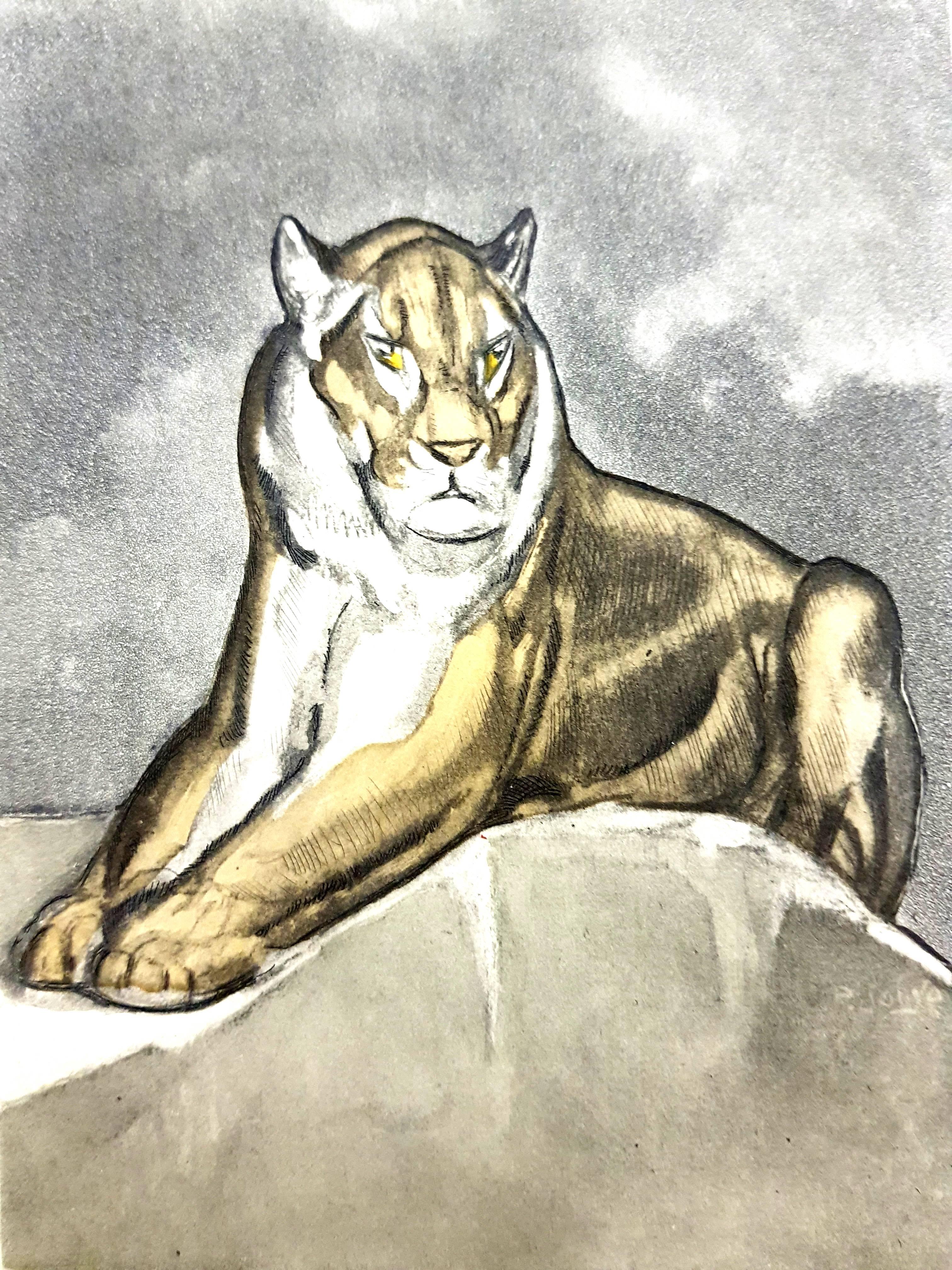 Paul Jouve (after) - Tiger - Original Engraving - Print by Pierre-Paul Jouve