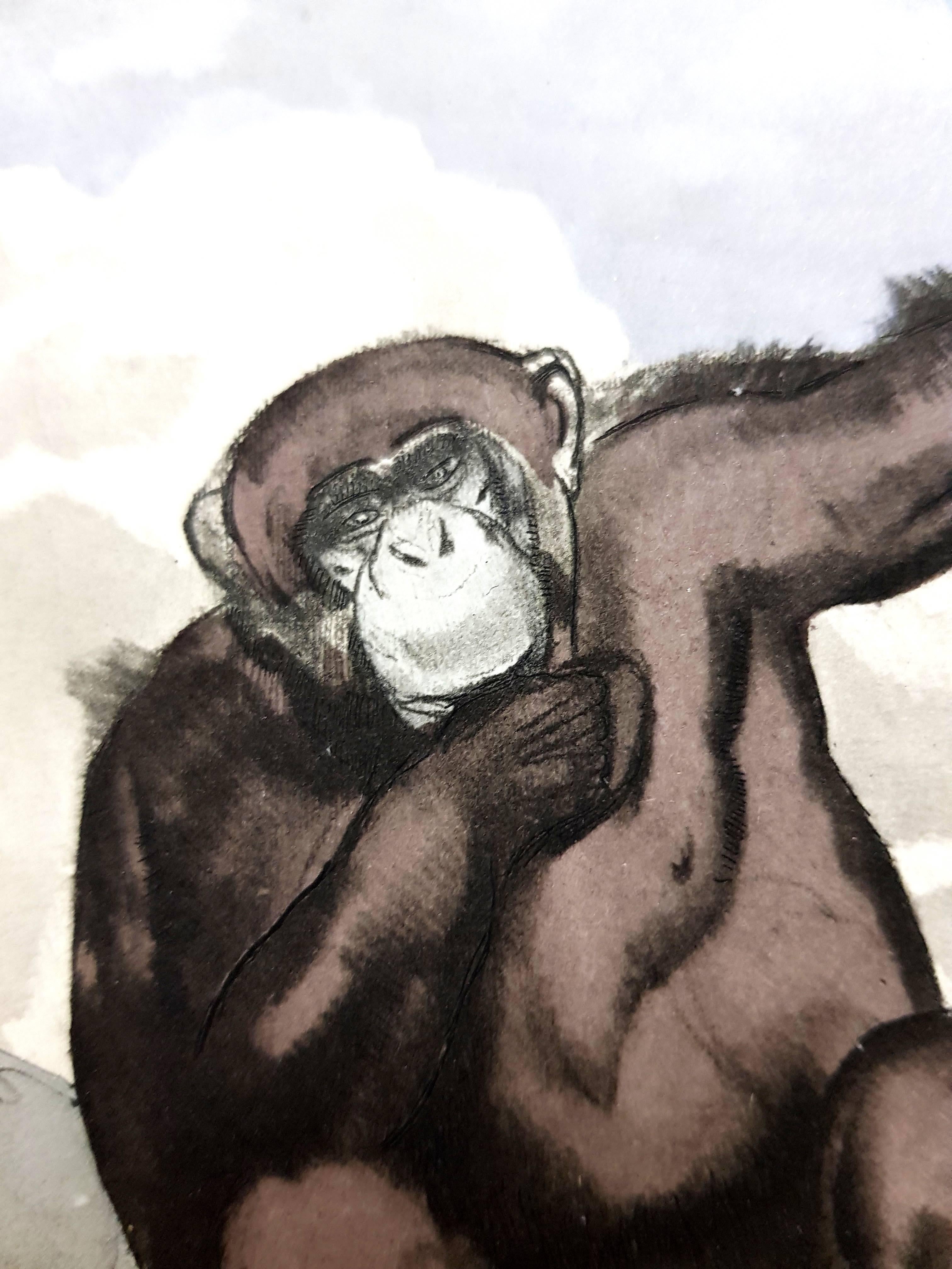 Paul Jouve - Chimpanzee - Original Engraving - Modern Print by Pierre-Paul Jouve