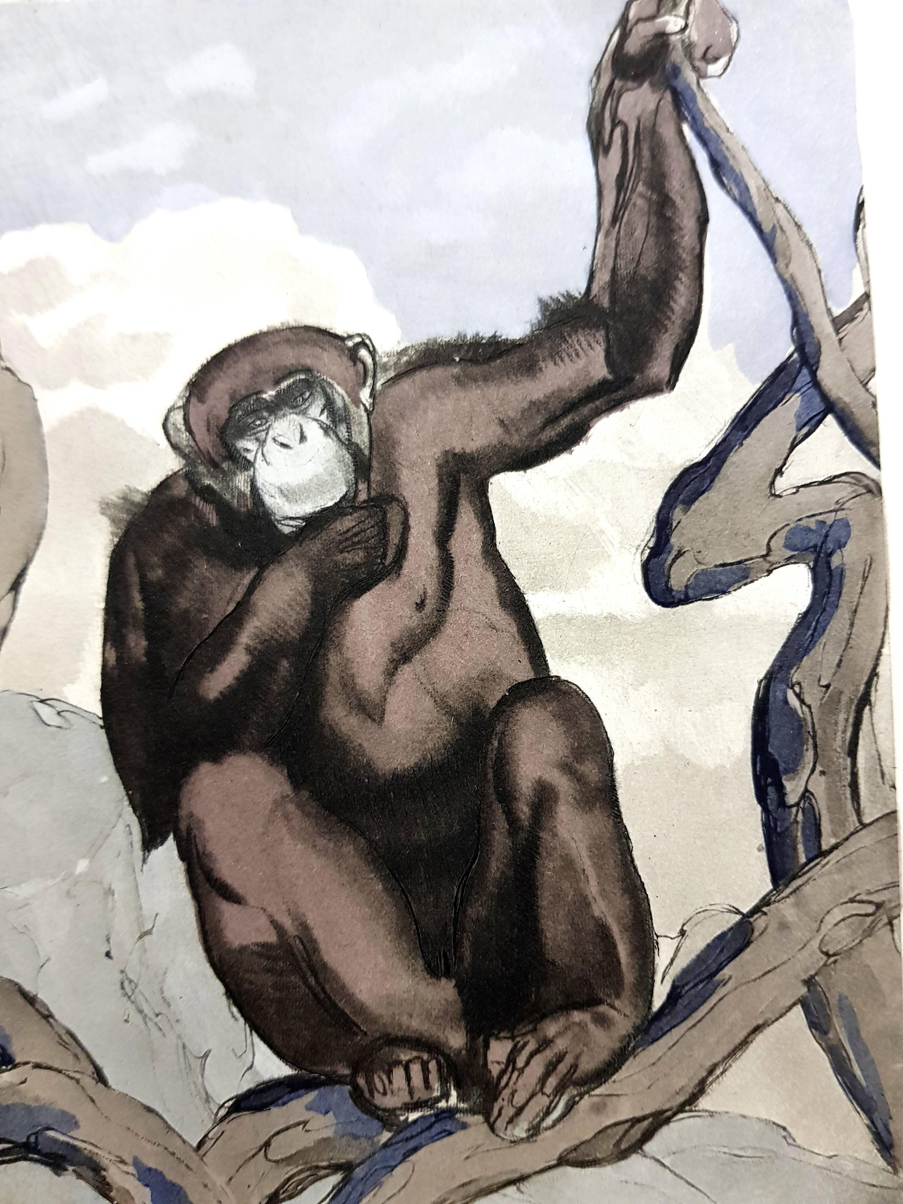 Paul Jouve - Chimpanzee - Original Engraving - Print by Pierre-Paul Jouve