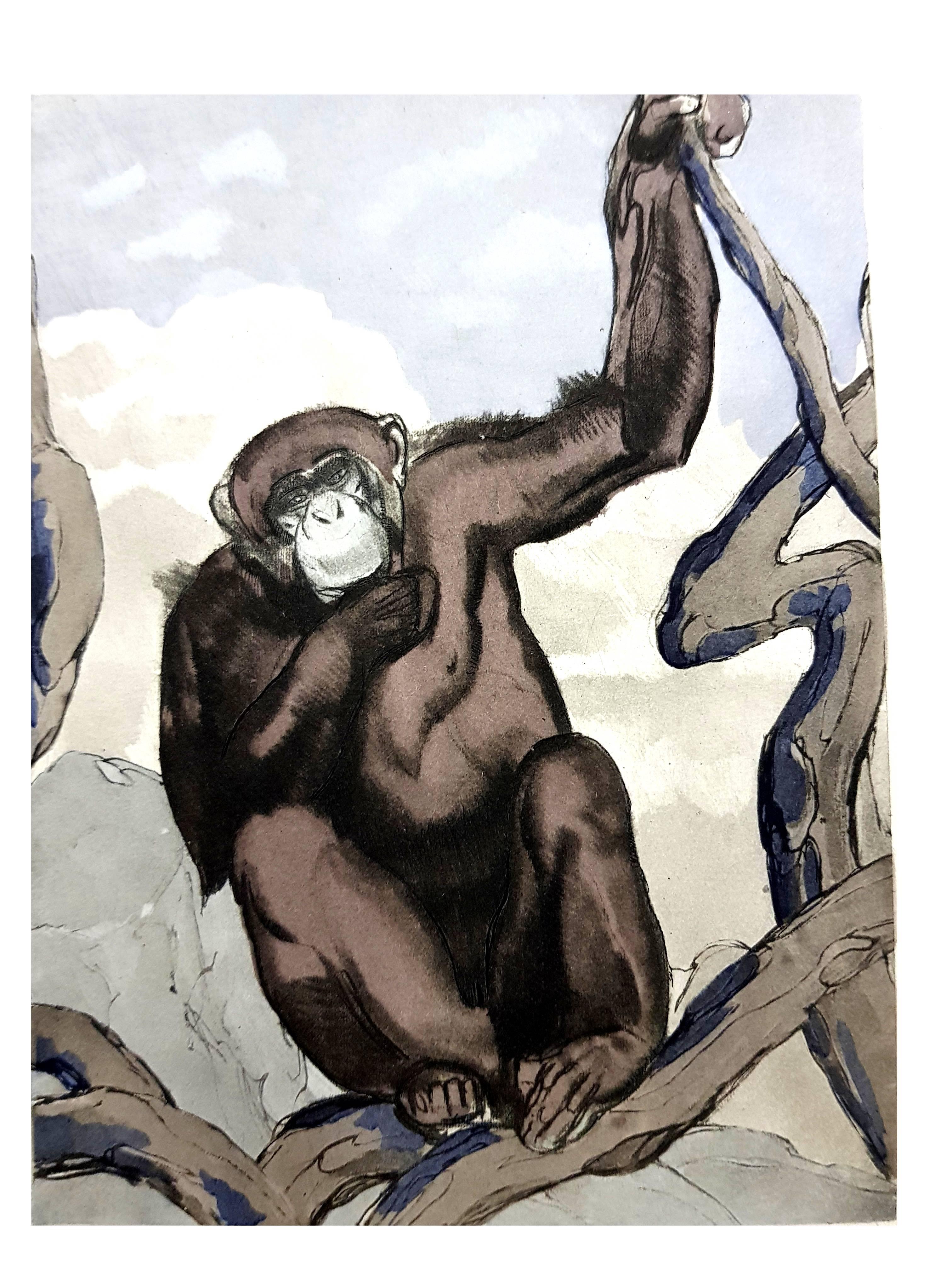 Figurative Print Pierre-Paul Jouve - Paul Jouve - Chimpanzee - gravure d'origine