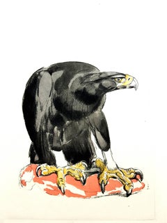 Paul Jouve - Eagle - Original Engraving