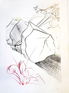 Salvador Dali - The Marvellous Steps - Original Handsigned Etching