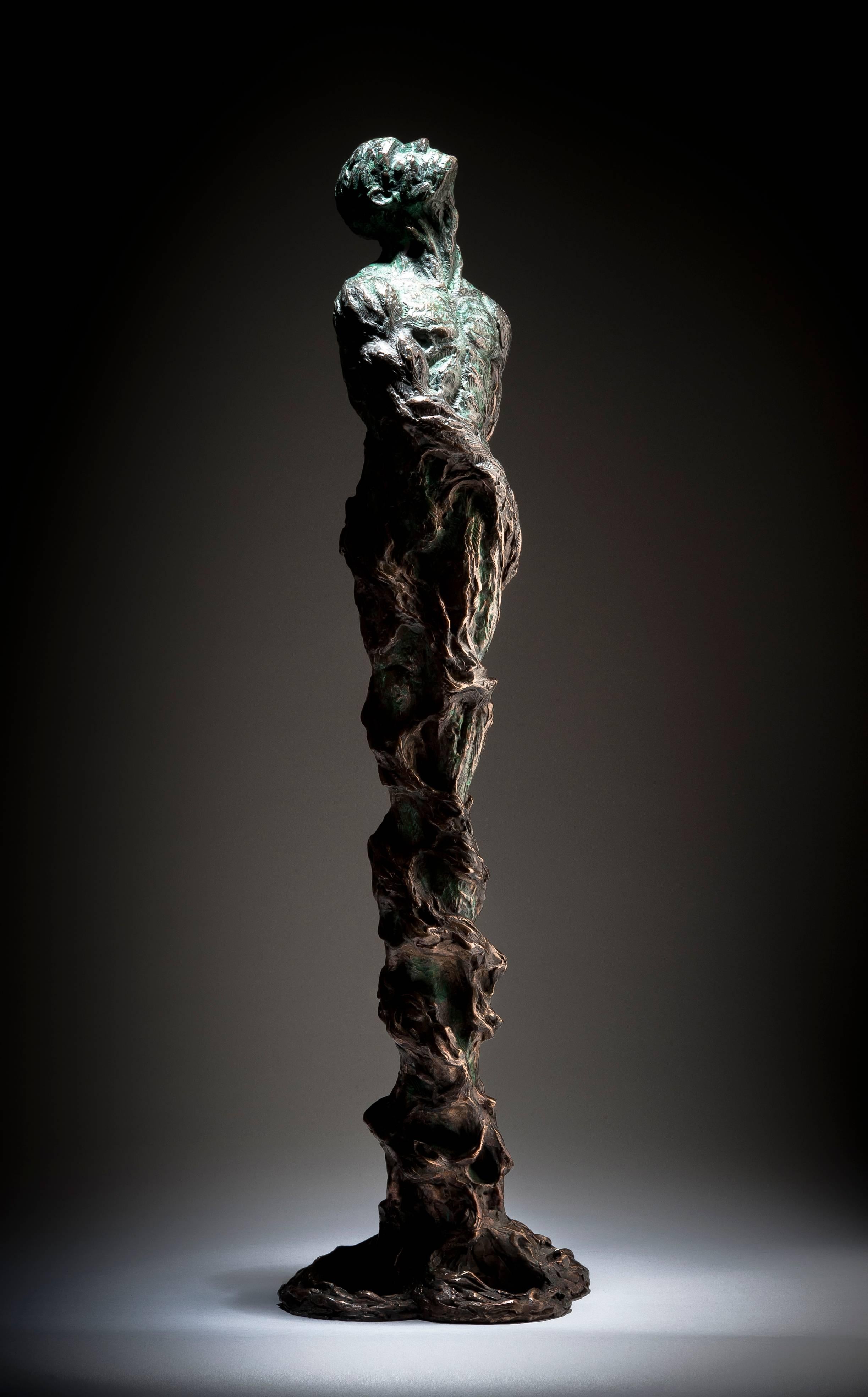 Ian Edwards - The Root Within - Original Signed Bronze Sculpure
