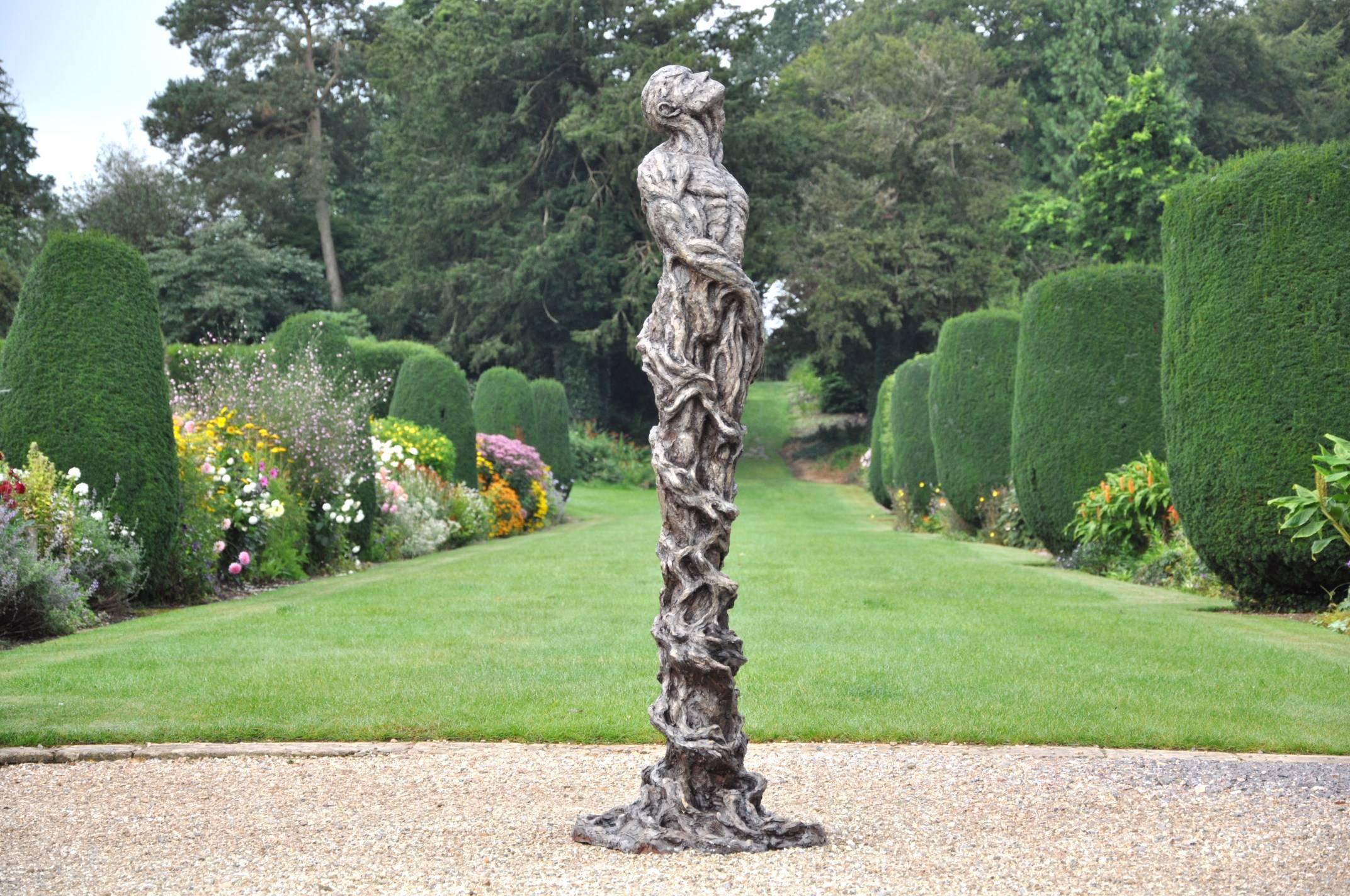 Ian Edwards - The Root Within - Sculpture originale en bronze signée en vente 2