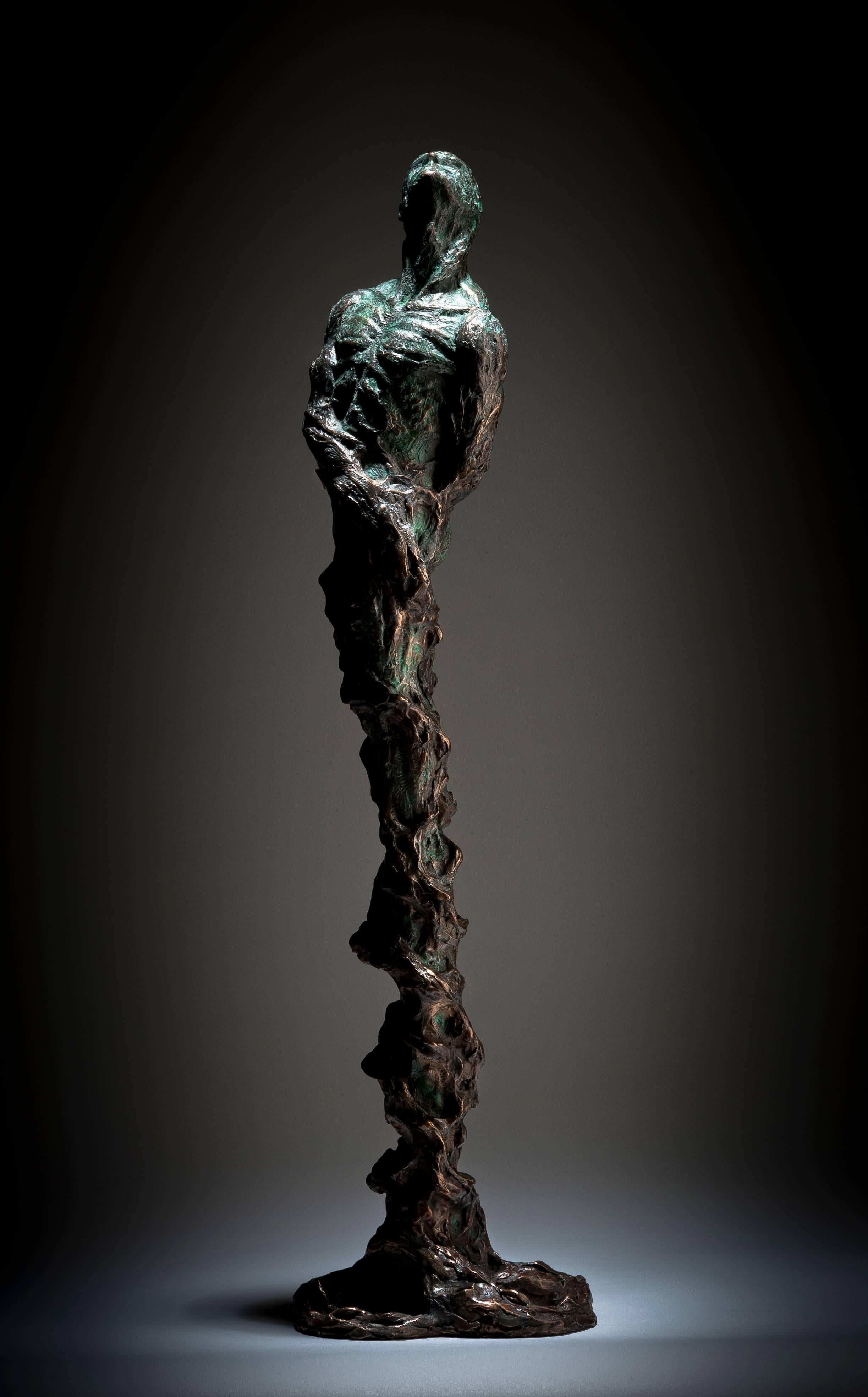 Ian Edwards - The Root Within - Sculpture originale en bronze signée en vente 1