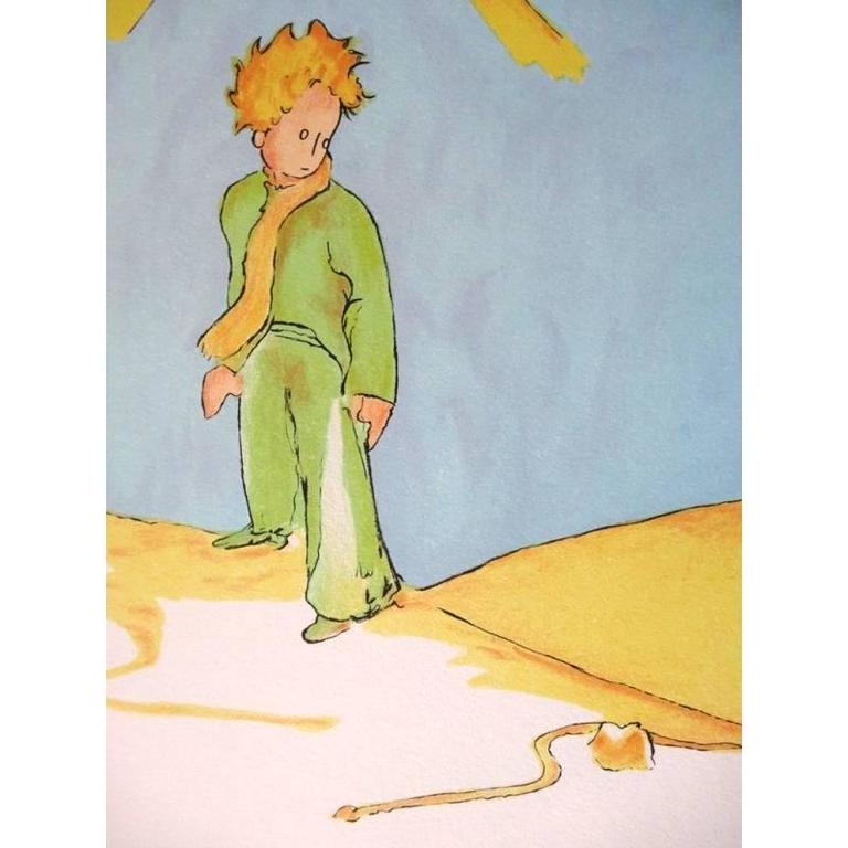 Le Petit Prince Snake Le petit prince imaginaire Le petit prince, Le petit prince citation