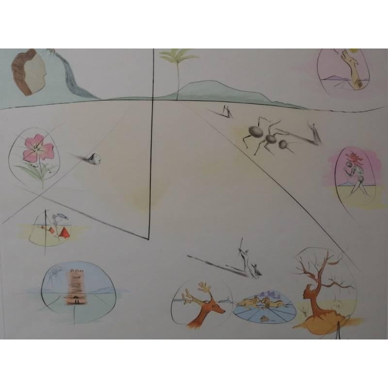 Gravure originale de Salvador Dali
Titre : Les douze tribus d'Israël
Signé
Dimensions : 65 x 51 cm
Edition de 60
1972
Références : A&M / Michler & Lopsinger 618

Bon état, petite déchirure sur la bordure

Salvador Dali

Salvador Dali est