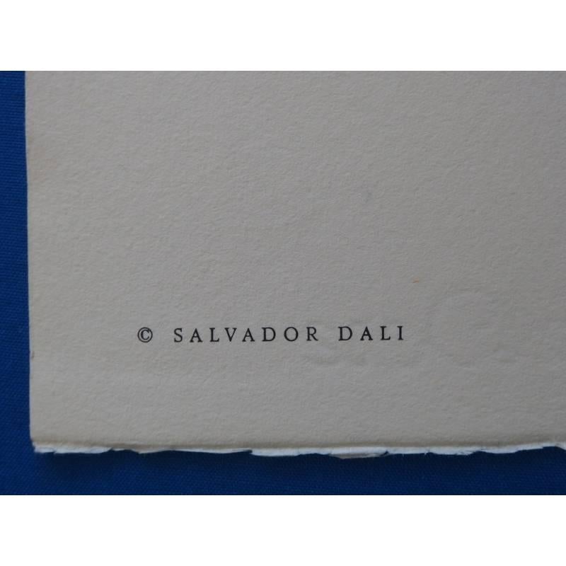 Salvador Dali - Les douze tribus israéliennes - gravure originale signée 4