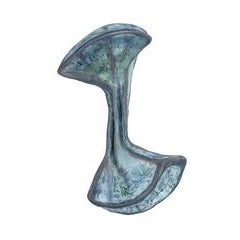 Caudex 11