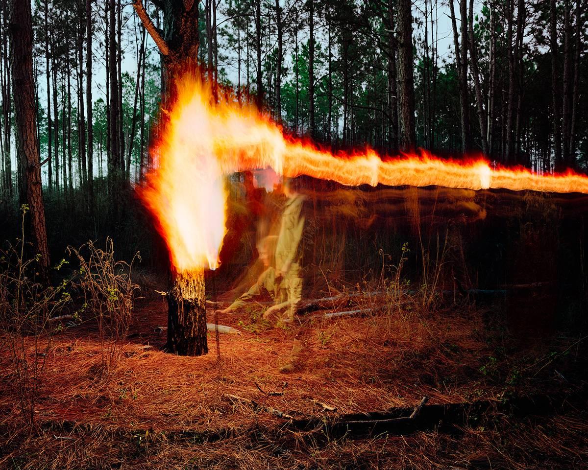 Jeremy Chandler Color Photograph - Torch Walk Pines