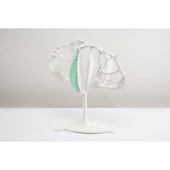 Brain Child (Crocus) 6