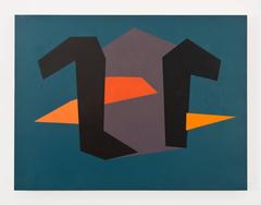 Reoriented Experience 5