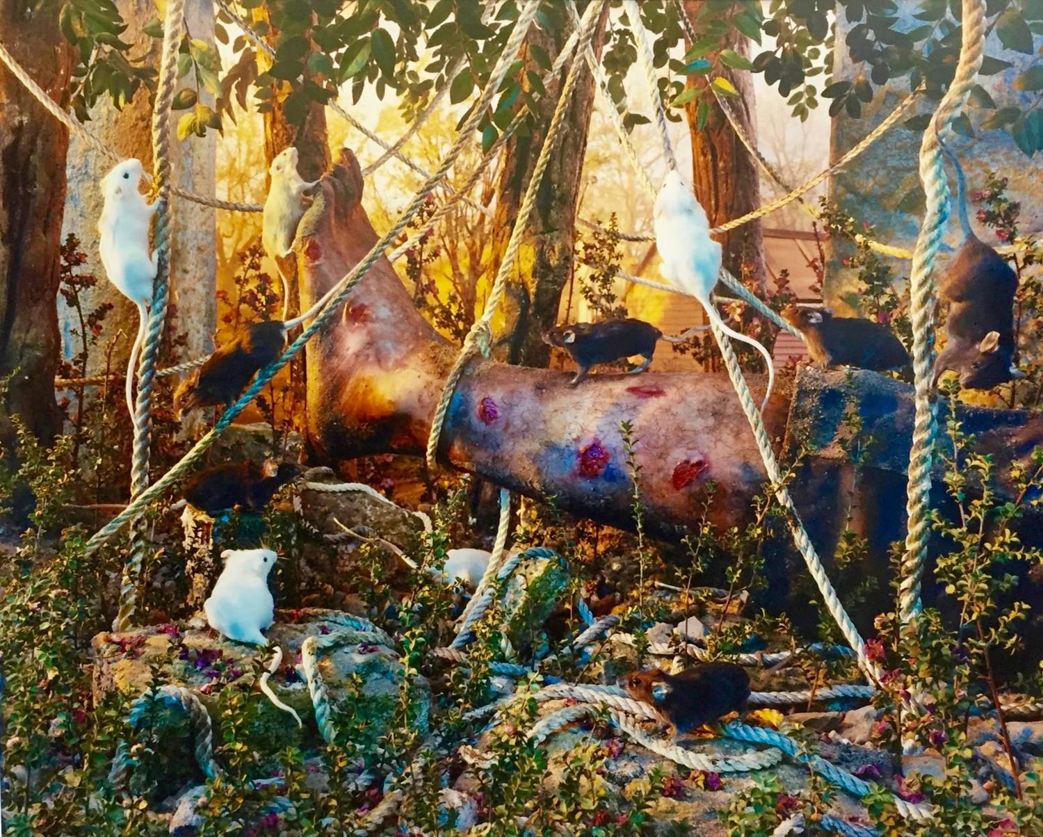 Gregory Crewdson Untitled from the Natural Wonder series