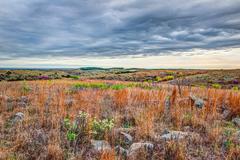 Spring Morning, Near Turner Falls, Oklahoma