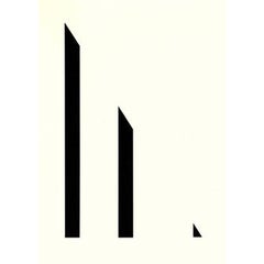 Unique photogram (13) 2