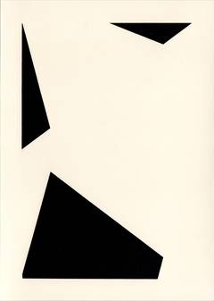 Unique Photogram (14) 4