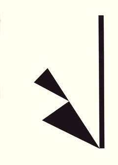 Unique photogram (18) 8