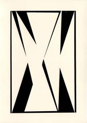 Unique Photogram (20) 6