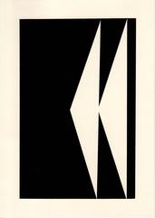 Unique Photogram (21) 10