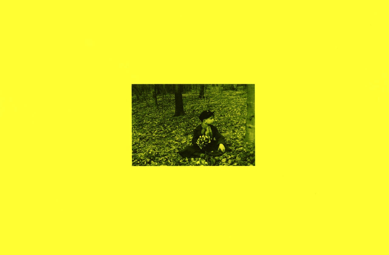 Susanne Wellm Color Photograph - yellow, kid, garden, Anemone