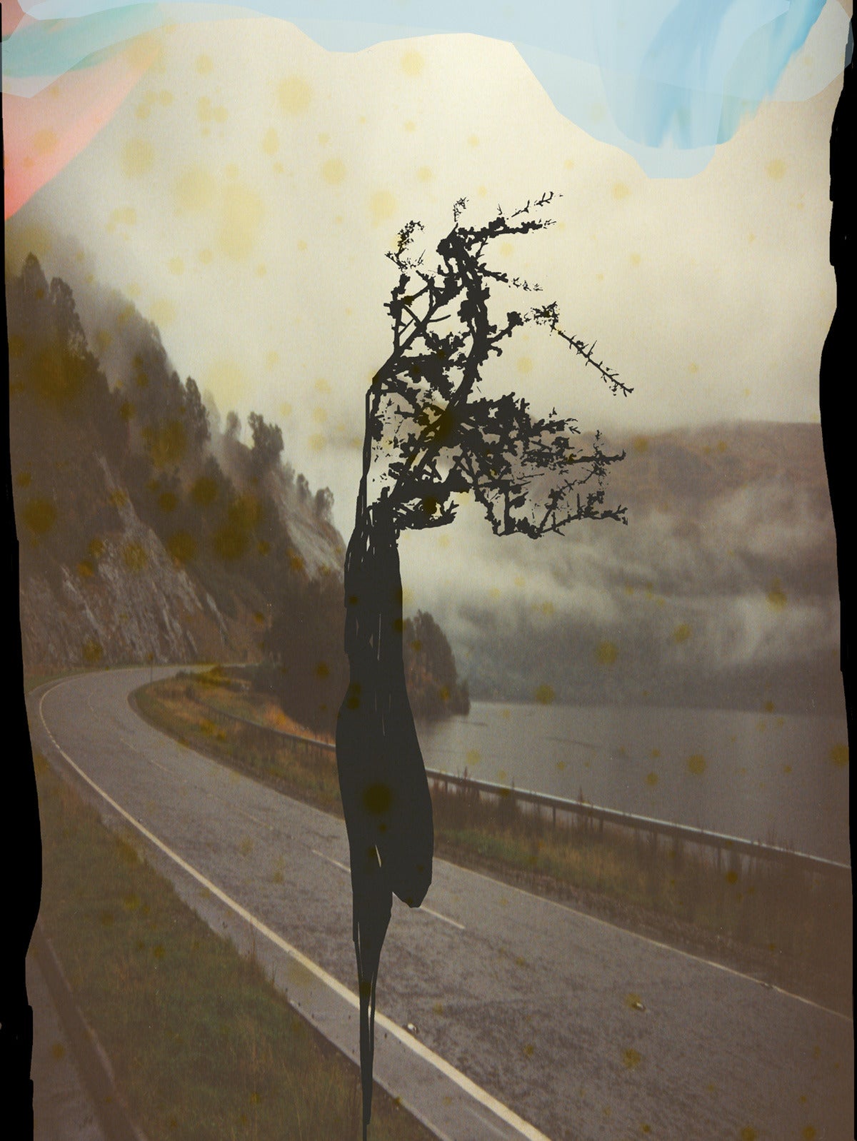 Trees, wind, Road With a Twig, color