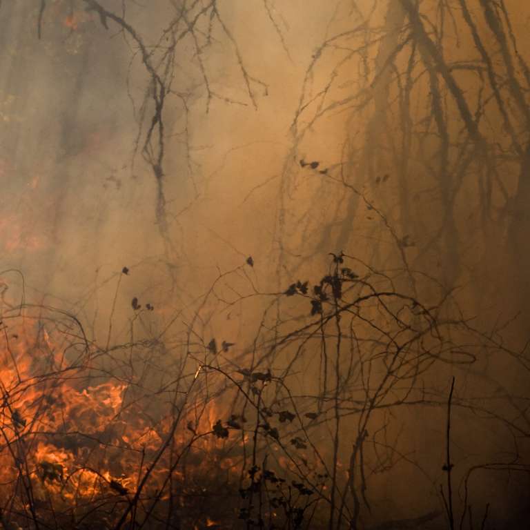 Jane Fulton Alt Color Photograph – Verbrennung Nr. 85