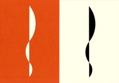 Orange, color photogram and paper negative, Untitled #30